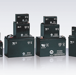 VRLA Batteries for Alarm, Back up Systems and Toys